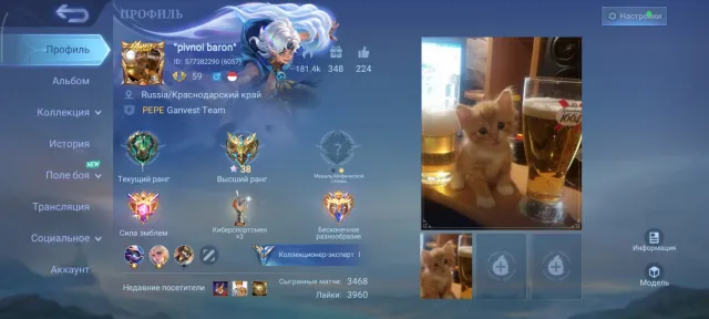 ✅PERSONAL ACCOUNTKOF KARINA💚🐼KUNG-FU PANDA EVENT TAMUZ🐼💚HELLO KITTY FLORIN💛LIGHTBORN TIGRIL💛✅, Sale, Rank: Mythic, Level: 59, Winrate: 55%, Heroes: 122, Skins: 179