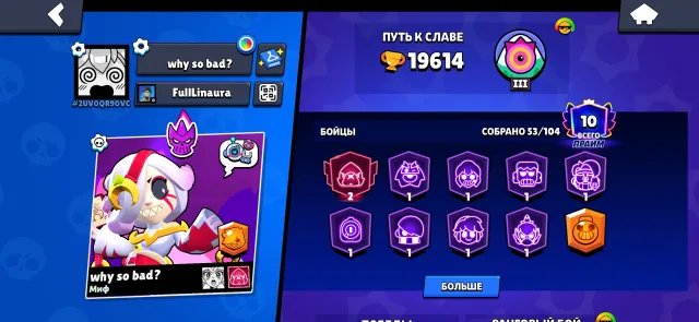 A lot of donation skins, trophies 19614, brawlers 53, primes 10