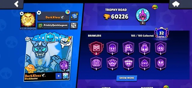 a lot of old skins and so on, trophies 60226, brawlers 105, primes 32