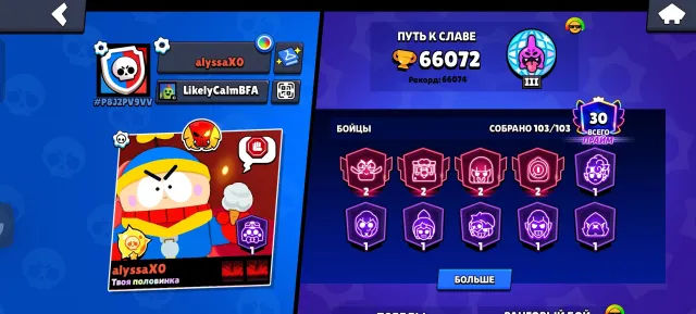 A good account for the base, there is a trade for this fat account, trophies 66074, brawlers 103, primes 30