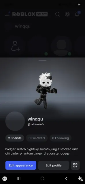 Roblox Account, Sale, Voice chat: No