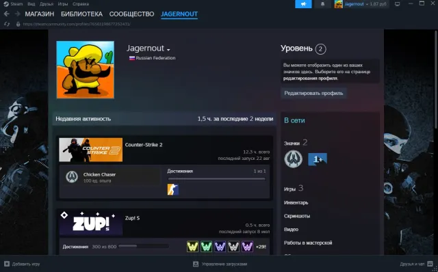 Кс2 с праймом_+инвентарь 200р +Dont Strave Together, Продажа, С инвентарем, Есть PRIME