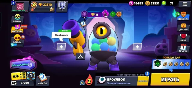 Many skins, donation, Halloween, limited editions, 22310 trophies, 95 brawlers, 8 primes
