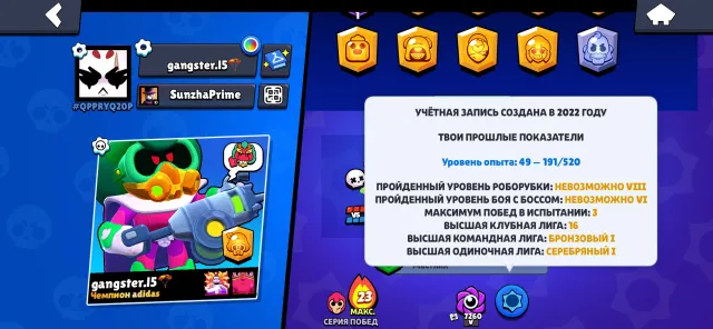 There are lots of interesting epic skins as well as many fighters, trophies 26081, brawlers 92, primes 1