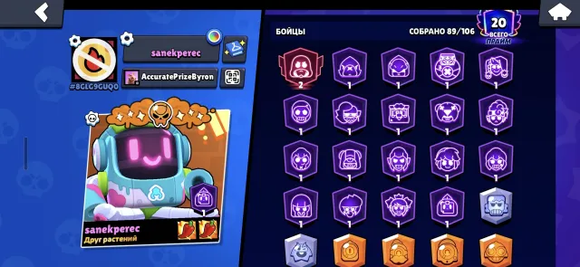 super powerful account since 2019 (+ seems to have some account in Clash Royale), 30500 trophies, 89 brawlers, 20 primes