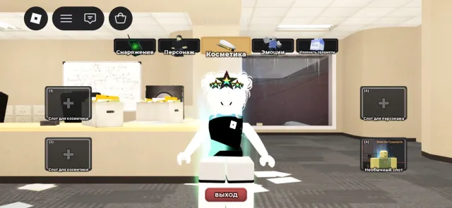 female account in roblox! mm2, evade, wd, etc., Sale, Voice chat: No