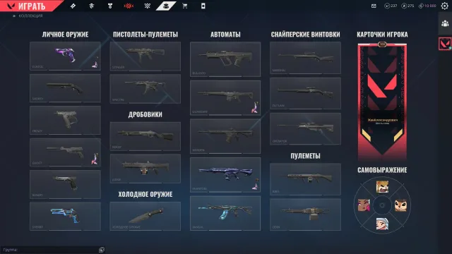 tree,spiral, Sale, Platinum 1, Agents: 24, Skins: 5