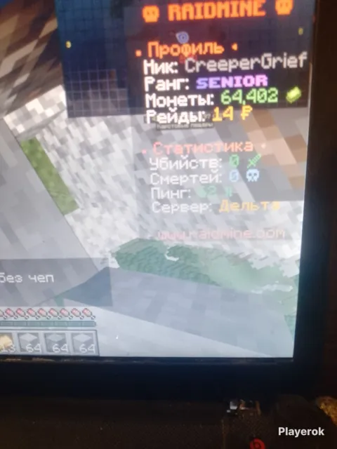 Account on RaidMine with a Senler, Sale, All account details