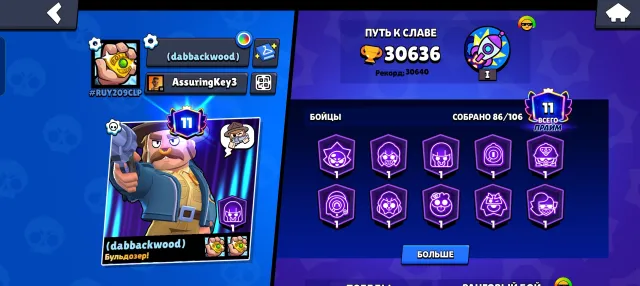 Account for a pro player, many 11 power levels, 30000 trophies, 86 brawlers, 11 primes