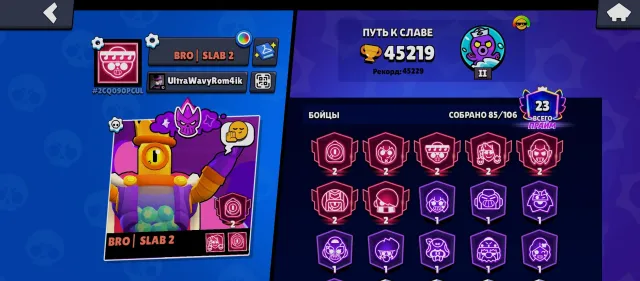 Very good account with top skins, 45219 trophies, 85 brawlers, 23 primes