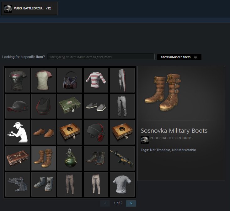 Sosnovka Military Boots, Sanhok Survivor Tee, Battle-Hardened Legacy Set, PGI Set + Games | Warranty, Yes BATTLEGROUNDS Plus