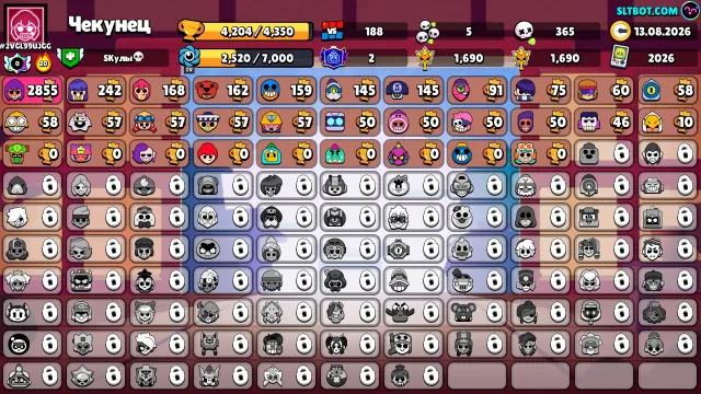 NEW FIGHTER WENDY SKINS FOR 3000 2564 FOR SHELLY max 2855 BEST STARTING ACCOUNT, trophies 4204, brawlers 31, primes 2