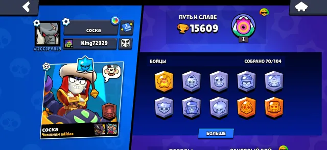 Cool Account, trophies 15609, brawlers 70