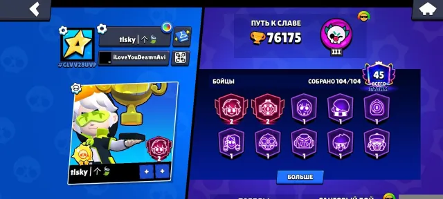 🏆 | 51 Rank 11 Brawlers 74 hypers🍃 2 Pins, Championship skins, and many others 🍃 |, trophies 76175, brawlers 104, primes 45