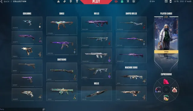 SG Val acc, silver II, Blackthorn Bundle, Xerofang Melee, Sale, Silver 2, Agents: 16, Skins: 20