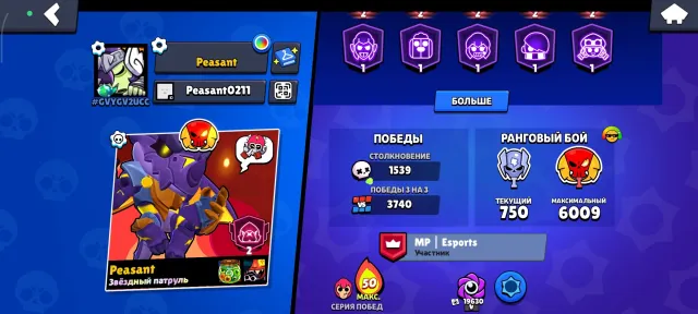 Fat account with a donation of 4000 rubles, 40000 trophies, 95 brawlers, 31 primes