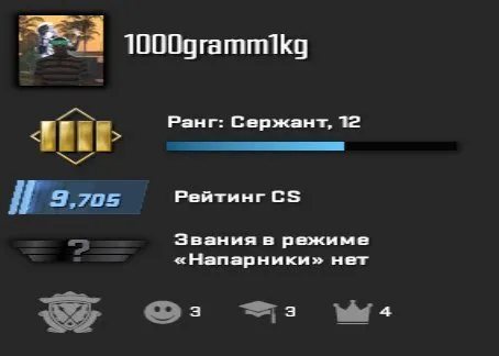 ✅✅【Ready for ranking】【Premier immediately】【PRIME】【Rank 12】【Guarantee】✅✅, Sale, With inventory, Has PRIME, 9700 CS Rating