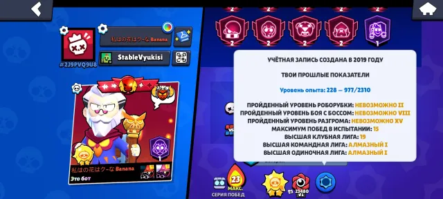 Account 2019, very many old skins, 67000 trophies, 106 brawlers, 33 primes