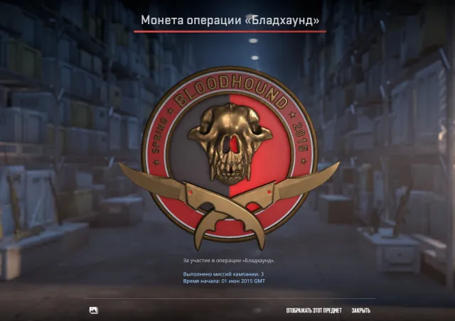 🟢🟢🔴【 CS 2 | Prime + 262 Hours 】【6 Medals: 5 + 10 Years of Service + 17 Year + Bloodhound】【Region: Russia】🔴🟢🟢, Sale, With inventory, PRIME available
