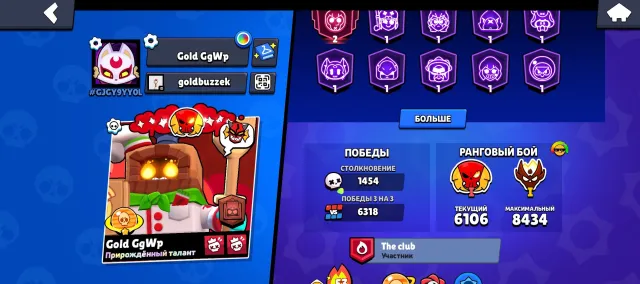 🌟Master🌟 350+ skins 50+ 11 power + trophies, 51000 trophies, 107 brawlers