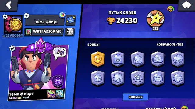 Guard Colt, Heroine Bibi, 2 old BP, more details in the description, 24230 trophies, 75 brawlers