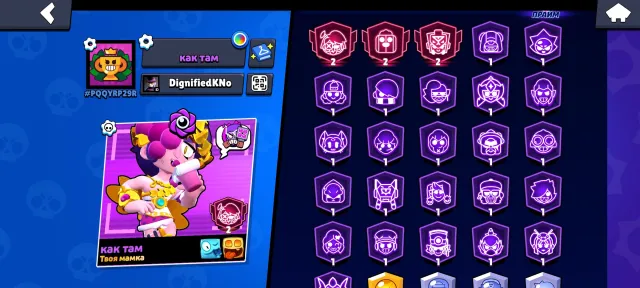 Account 2019 year🔥🔥🔥more rare skins, trophies 50170, brawlers 99, primes 29