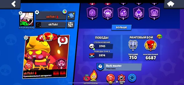 54k trophies, 2019 reg account, old skins, easy league, 253 gems, 31 brawlers level 11, 54500 trophies, 104 brawlers, 26 primes