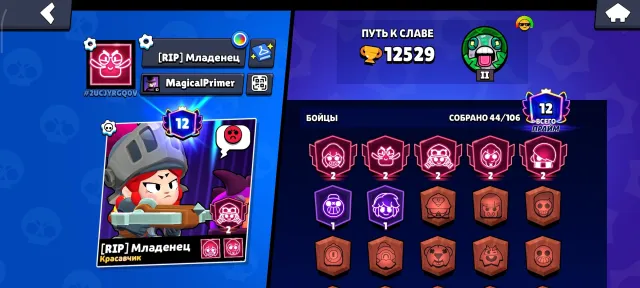 5 second primes, name change, prime first power, 5 fully upgraded fighters, 12000 trophies, 42 brawlers, 12 primes