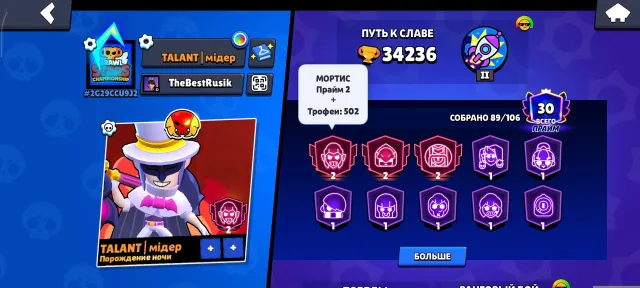 best account, 34000 trophies, 89 brawlers, 30 primes