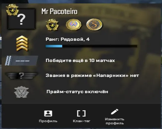 🔥3 Medals (photo below🔥) 8 years of service in Steam🔥 Facet not registered 🔥 OTL, Sale, With inventory, Has PRIME