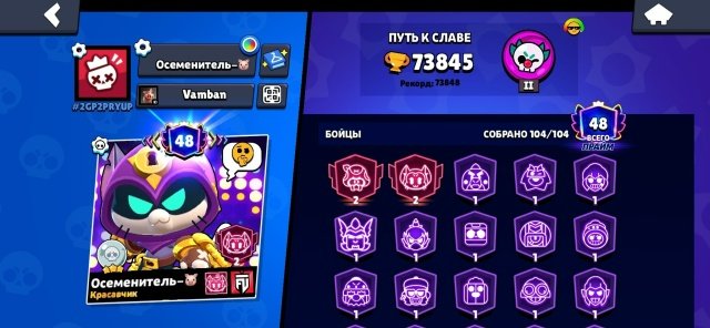 ajkshgkbjdhnaeuirhn elrghberbaeynib e, trophies 73845, brawlers 104, primes 48