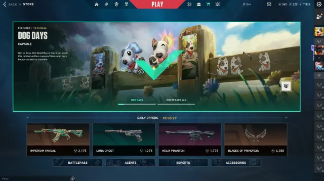 📮Turkish region | Immortal 1 | K/D 1.33 | 365 VP | 240 RP | BP 46LVL | Full account transfer + checks 🎮, Sale, Immortal 1, Agents: 12, Skins: 11