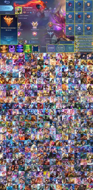 🔥505 Stars🔥Account for Roamer&Exposer🔥5 global titles🔥High win%🔥Mega 1 with many profile skins🔥, Sale, Rank: Epic, Level: 146, Win rate: 62%, Heroes: 133, Skins: 570