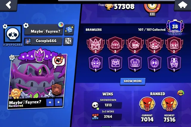 ✨TOP ACCOUNT FOR MAIN✨ 💎225989 skin gem value🔮 57.3k CUPS🏆 | 51 11-POWER💰 3 LEGENDS⚡, 57300 cups, 107 brawlers, 38 primes