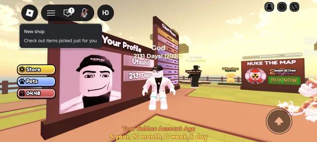 Old account 2020 max donation with 1000+ robux in modes, Sale, Voice chat: Available