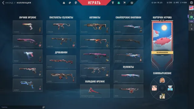 Vandal Kuronami, Phantom Ion, full access, Sale, Ranked unlocked, Agents: 27, Skins: 43