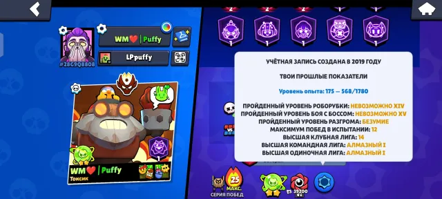 Selling an account in Brawl Stars with many exclusive skins, 123000 trophies, 107 brawlers, 106 primes