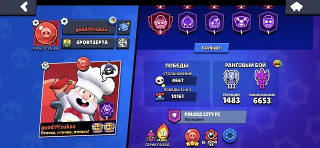 Account with email login, will transfer after payment, 70006 trophies, 107 brawlers, 44 primes