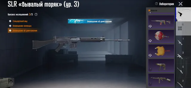 МК 14 малышь найлун и другии, Есть BATTLEGROUNDS Plus