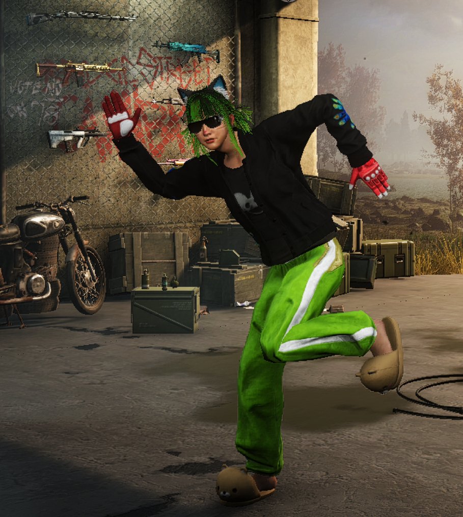 💚🤍 NVIDIA set | 🦊 Ali the Fox full | 🦈 shroud guns | 🌌 XingHun set | 🪙 3000 g-coins, Yes BATTLEGROUNDS Plus