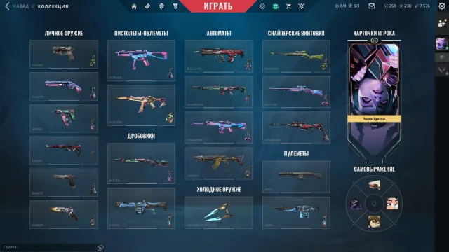 AN ACCOUNT WITH A LIMITED ARCANE VANDAL AND AN ARAXIS KNIFE AT A LOW PRICE, Sale, Ranked unlocked, Agents: 12, Skins: 28