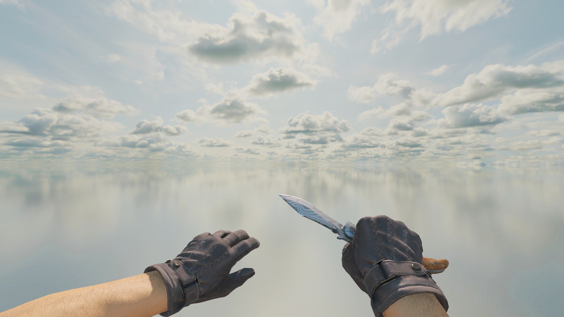 #3 ☄️RENT☄️ 🏠FOR HOME / PC Club💻 ❗KNIFE (Navaja)+SKINS💰✅PREMIER✅⏱️1 HOUR⏱️ 🎁 +1 HOUR FOR REVIEW🎁, Rent, Available, Yes PRIME, Competitive