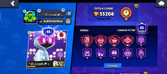 Selling Brawl Stars account, 55269 trophies, 77 brawlers, 45 primes