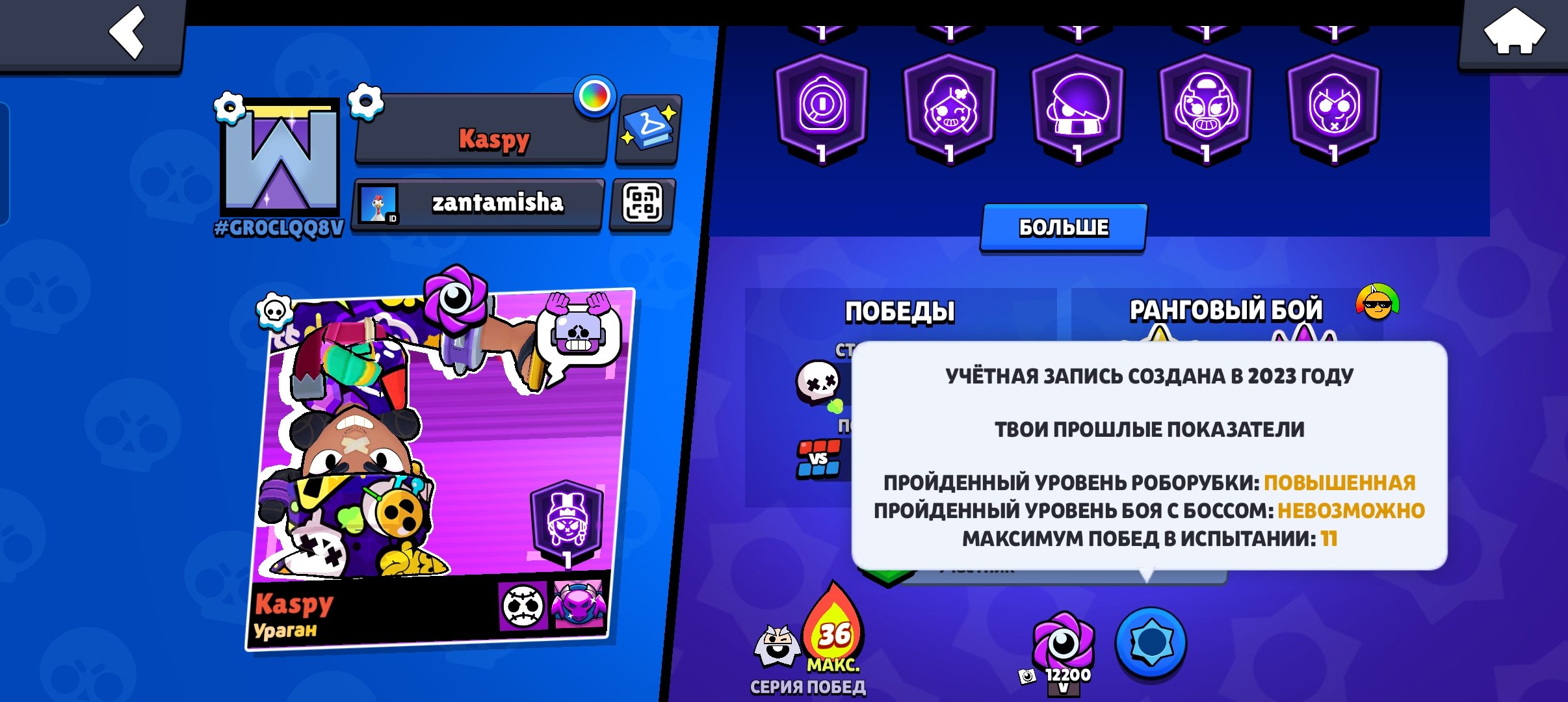 very good acaunt, trophies 28663, brawlers 90, primes 10