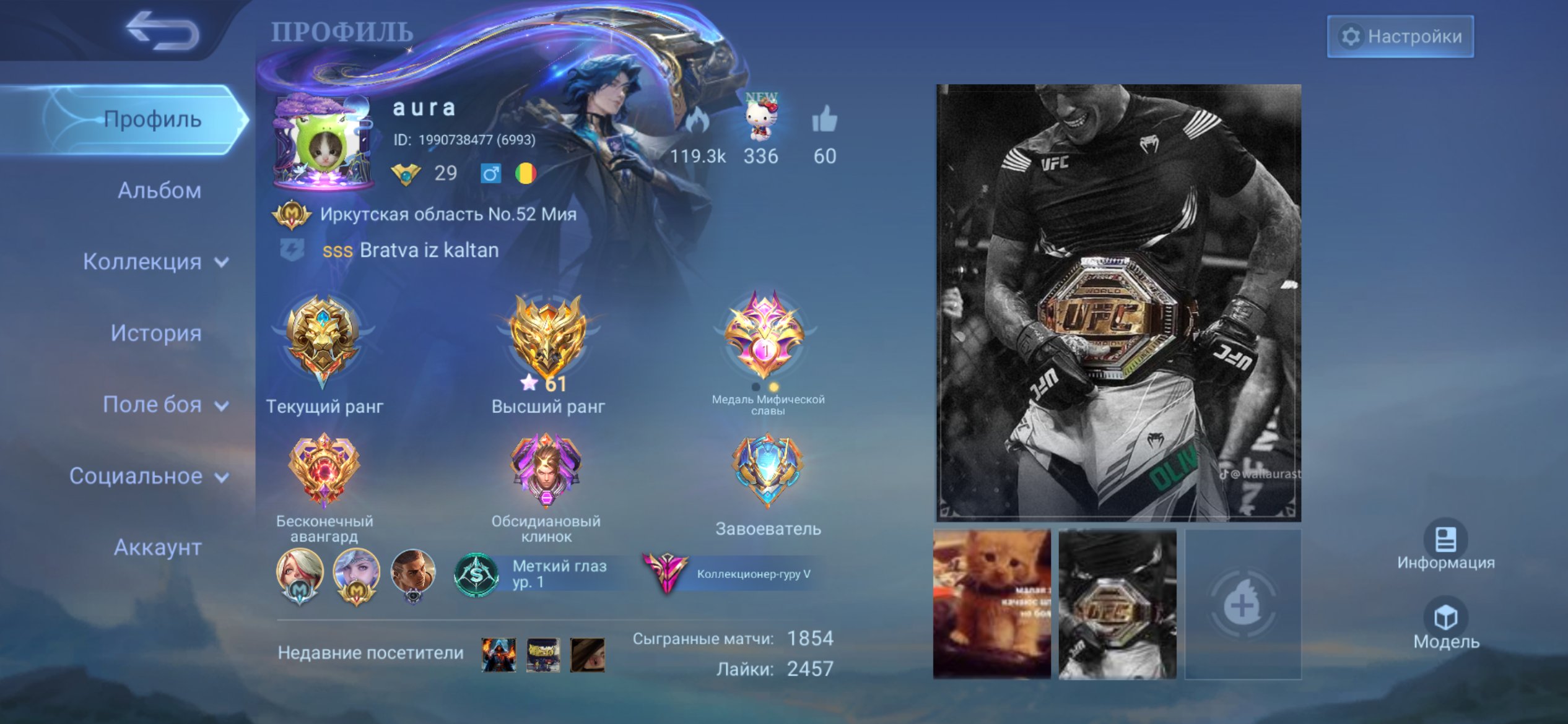 Sell account, Sale, Rank: Legend, Level: 29, Winrate: 50%, Heroes: 130, Skins: 203
