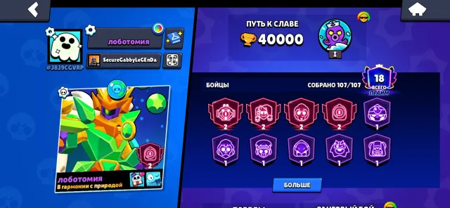 account in Brawl Stars + account in Clash with 10000 trophies, 40000 trophies, 107 brawlers, 18 primes