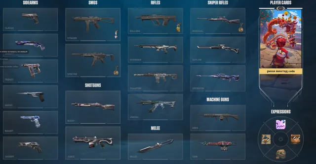 riot games, Sale, Platinum 2, Agents: 29, Skins: 19