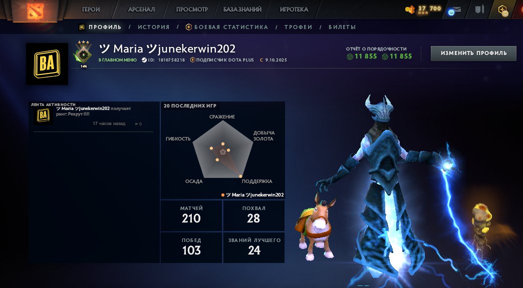🏅 MMR 330 | 🕒 167 hours | 🛡 11855