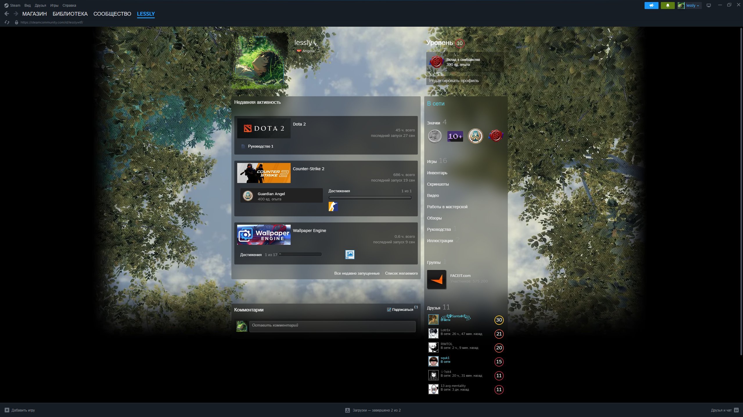 🏆 10 LVL FACEIT | 🎯 ELO 2241 | 🕒 429 matches — Ready for Competitive Play