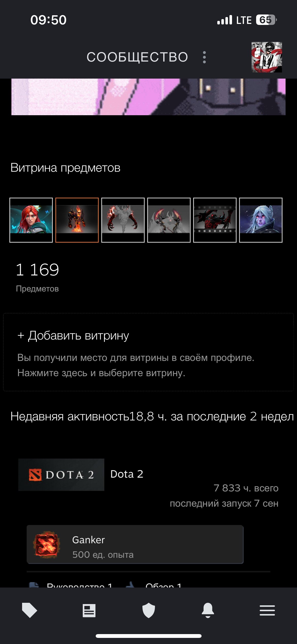 🏅 MMR 1300 | 🕒 7802 hours | 🛡 11000